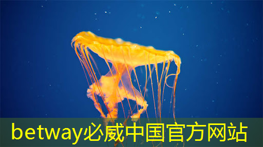 betway必威西漢姆聯(lián)官網(wǎng):工業(yè)互聯(lián)網(wǎng)硬件品牌有哪些 betway必威西漢姆聯(lián)官網(wǎng):工業(yè)互聯(lián)網(wǎng)硬件品牌有哪些